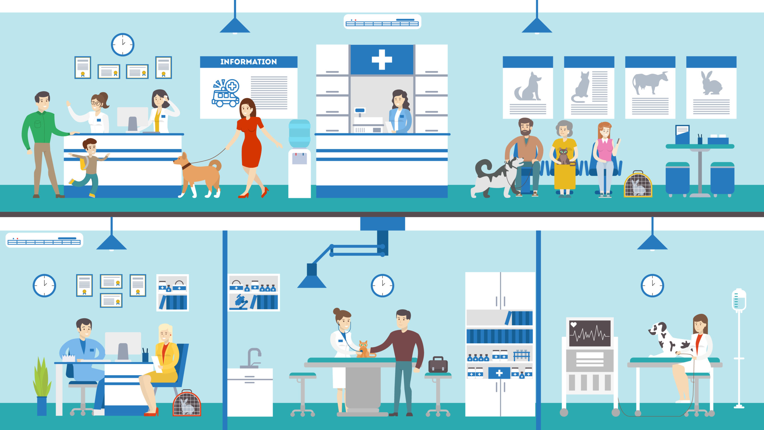 Veterinary practice valuation Veterinary practice valuation