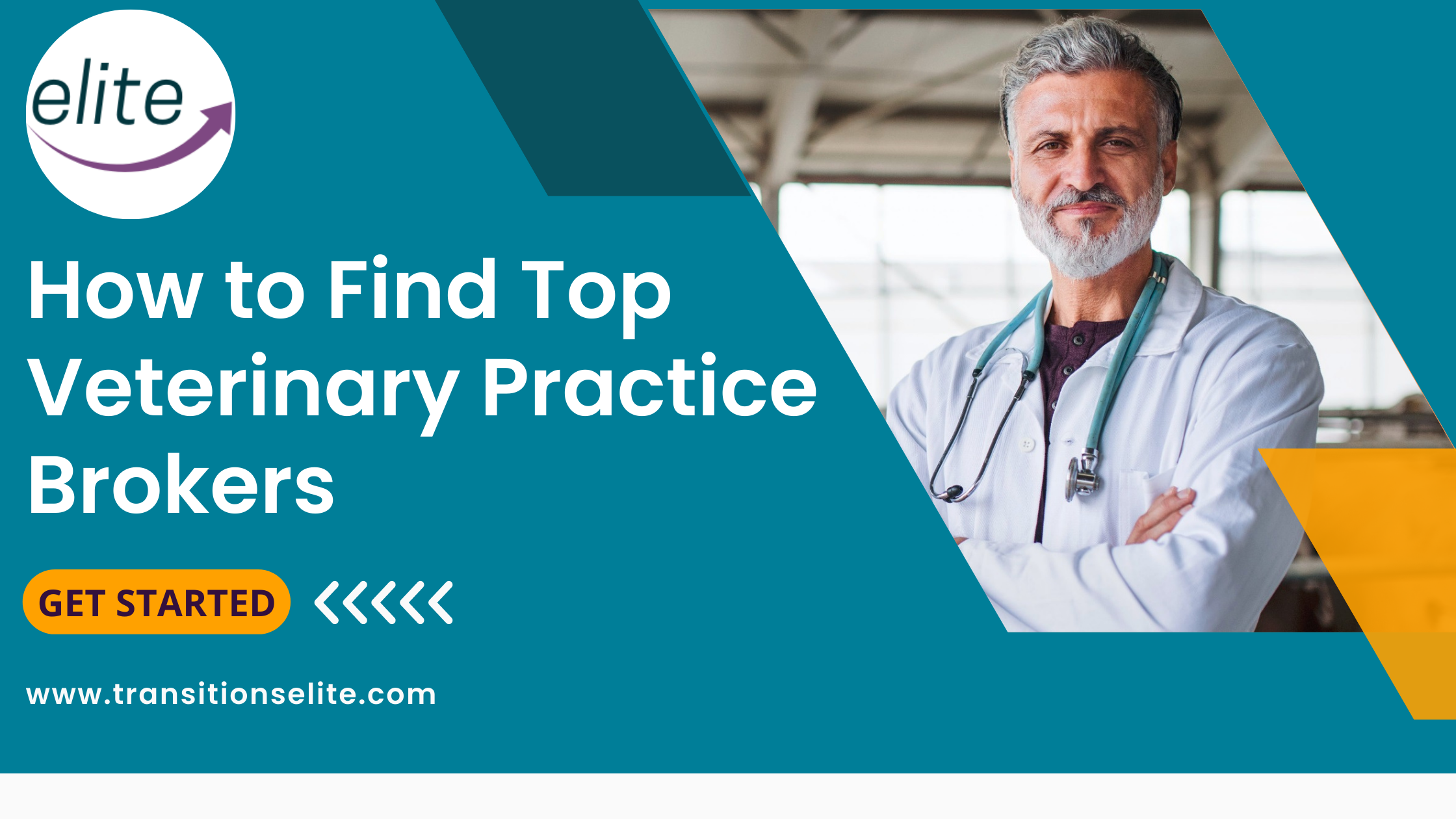 Modern Promotion Business Agency Blog Banner(8) p Veterinary Practice Brokers