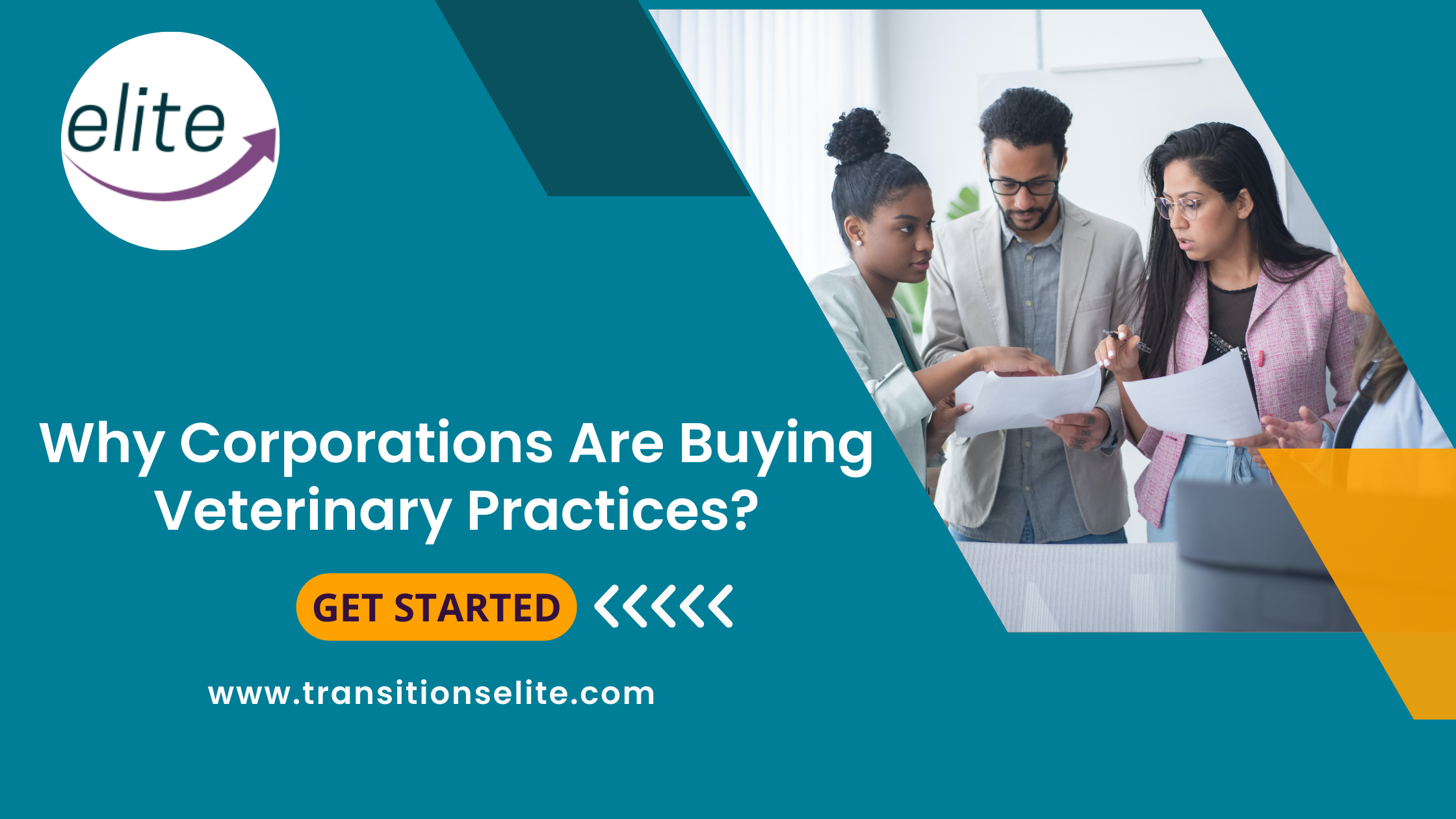 Why Corporations Are Buying Veterinary Practices Why Corporations Are Buying Veterinary Practices?