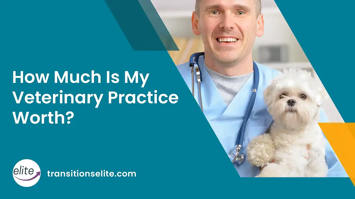 Feature How Much Is My Veterinary Practice Worth How Much Is My Veterinary Practice Worth?